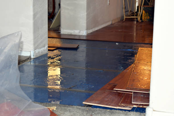 Professional Basement Flooding technician working in Lumberville, PA